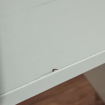 Hatalı Ürün Ve İade Sürecinde Mağduriyet