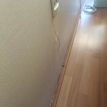 Kurulum Sorunları Ve İlgisiz Hizmet