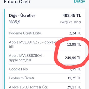 Faturada Bilinmeyen Apple Abonelikleri Sorunu
