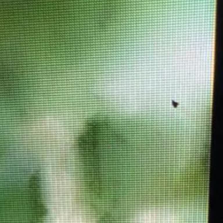 Ölü Piksel Ve Yetersiz Müşteri Hizmeti