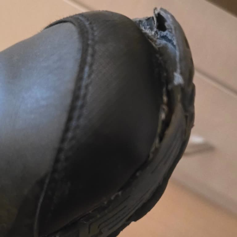 FLO'dan Aldığım Bot 1 Ayda Dağıldı!