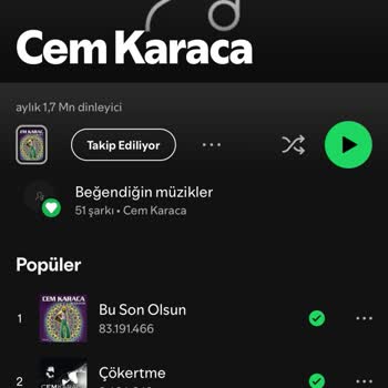 Ünlü Sanatçının Spotify Hesabı Güvenlik Tehlikesi Altında