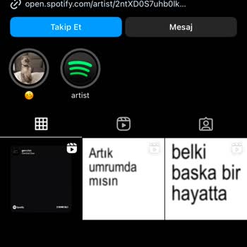 Ünlü Sanatçının Spotify Hesabı Güvenlik Tehlikesi Altında