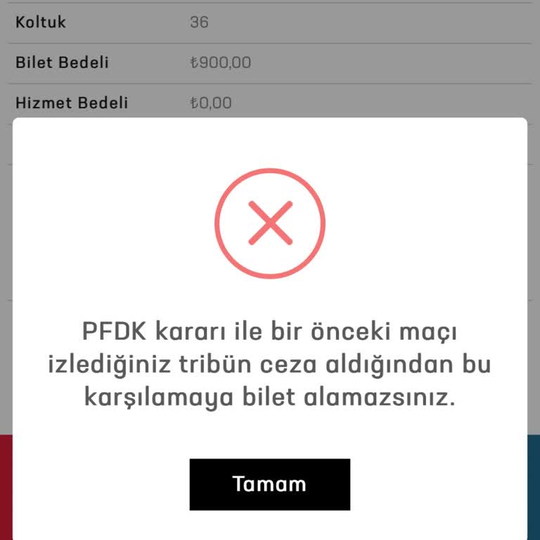 Bilet Alma Engeli: Haksız Ceza Mağduriyeti