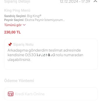 TurkNet King Ping Kodu Gecikmesi İnternet Bağlantımı Engelliyor