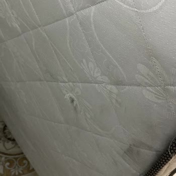 Bambi Yatak Montajı Üç Aydır Tamamlanmadı