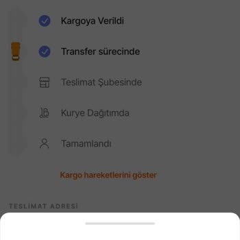 Yanlış Yönlendirme: Televizyonum Adana'ya Gitti!