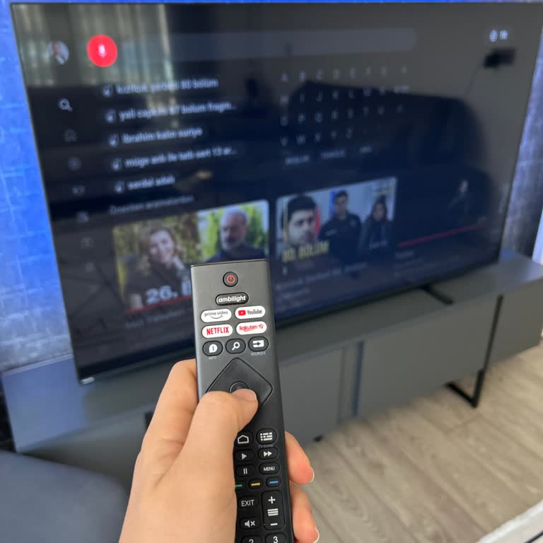Philips Televizyon Sesli Komut Sorunu
