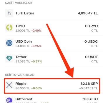 XRP Bakiyesi Sorunu Ve Destek Eksikliği