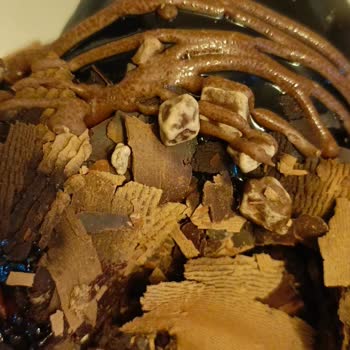 Bayat Profiterol Ve Bozuk Renkli Pasta Hayal Kırıklığı