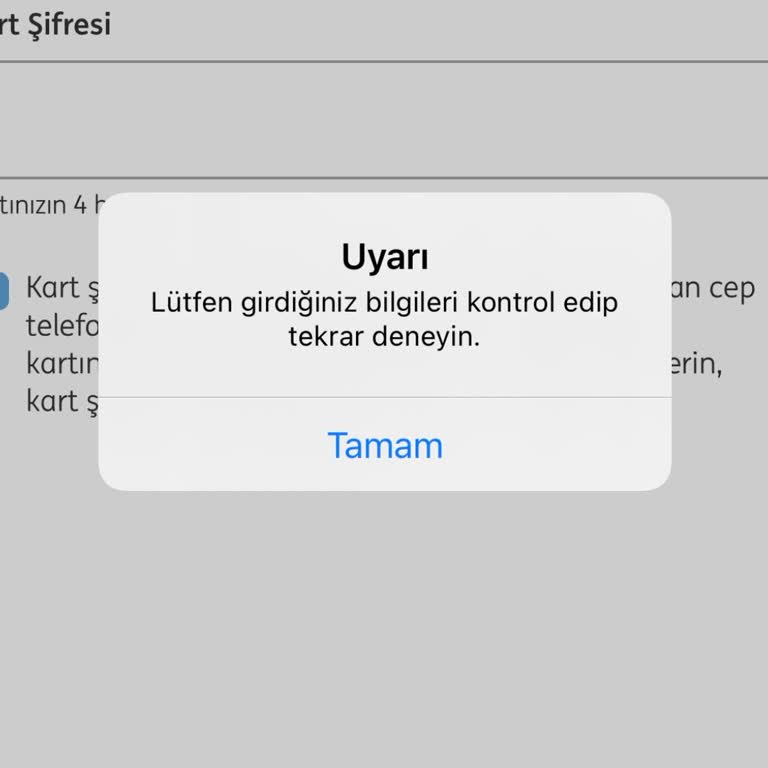 Mobil Uygulama Erişim Sorunu Ve Müşteri Hizmetleri Yetersizliği
