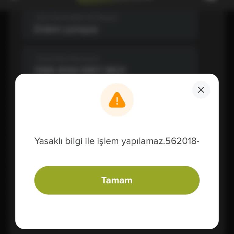 Cineverse Uygulamasında Para Yatırma Ve Kullanım Sorunu