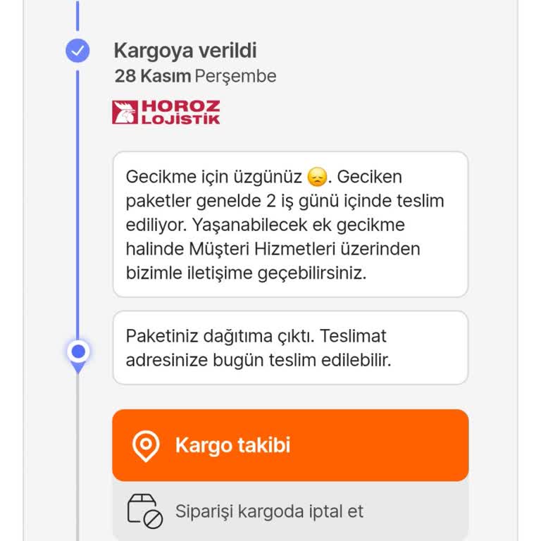 Teslimat Sürecindeki Sürekli Gecikmeler