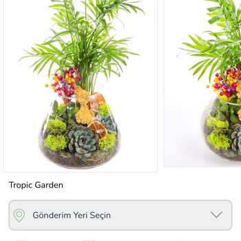 Yanlış Ve Özensiz Çiçek Teslimatı
