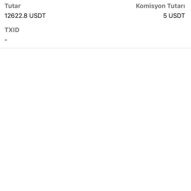 USDT Çekim Talebinin Gecikmesi Ve İletişim Sorunları