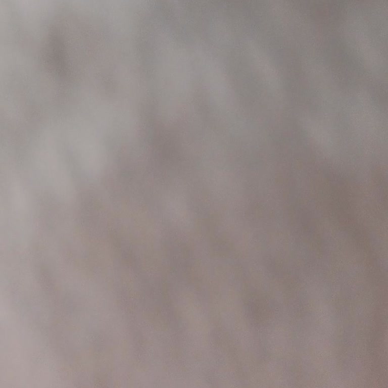 Üyelik İptali İçin Güven Sorunu