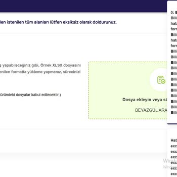 Bürokratik Engeller Ve Sistem Hataları