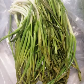 Bayat Ve Tarihi Geçmiş Ürünlerin Sürekli Gönderilmesi