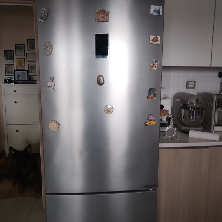 Beko Servis Randevusu Sorunu