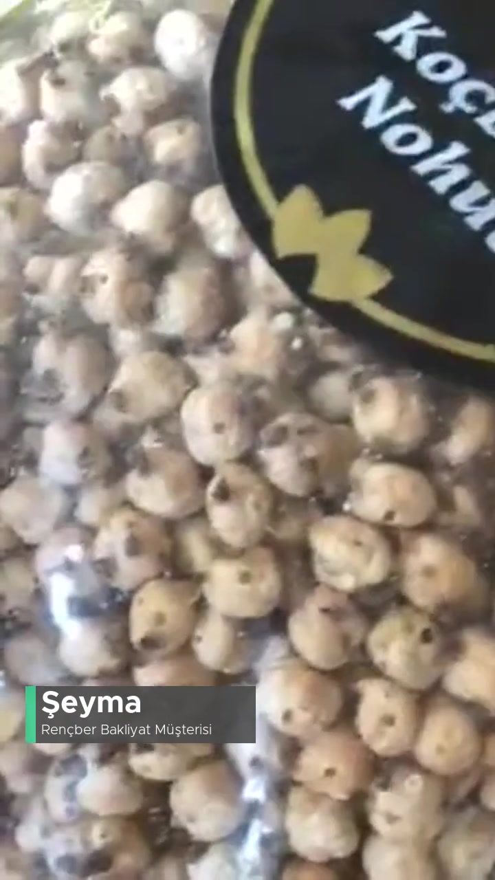 Rençber Nohut Böcekli Çıktı videonun kapak resmi
