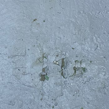 Bars Kimya Zemin Boyası Beklentileri Karşılamadı: Araç Trafiğinde Boya Kalkması Sorunu