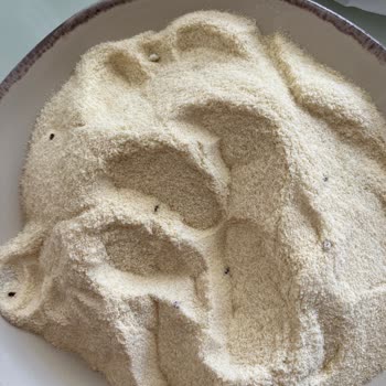 Iconova Bebek Ununda Böcek Şoku