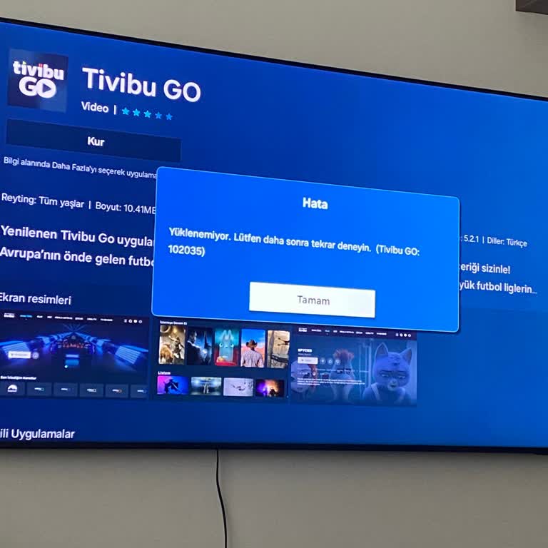Samsung TV Uygulama Yükleme Sorunu