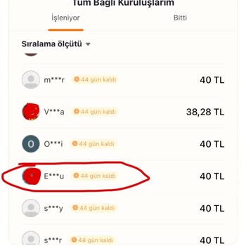 Temu Affiliate Programında Ödül Sorunu