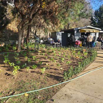 Moda'da Çimlerin Üzerine Masa Çekme Sorunu