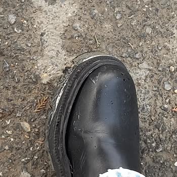 Sipariş Kayboldu, Bilgilendirme Eksikliği Ve Ürün Kalite Sorunu