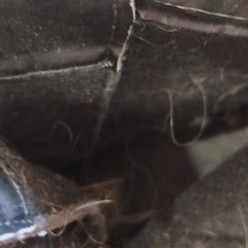 Aldığım Butigo Bot Tam Bir Hayal Kırıklığı