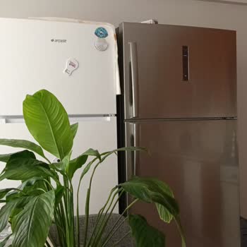 Arçelik Buzdolabında Sebze Çürüme Sorunu