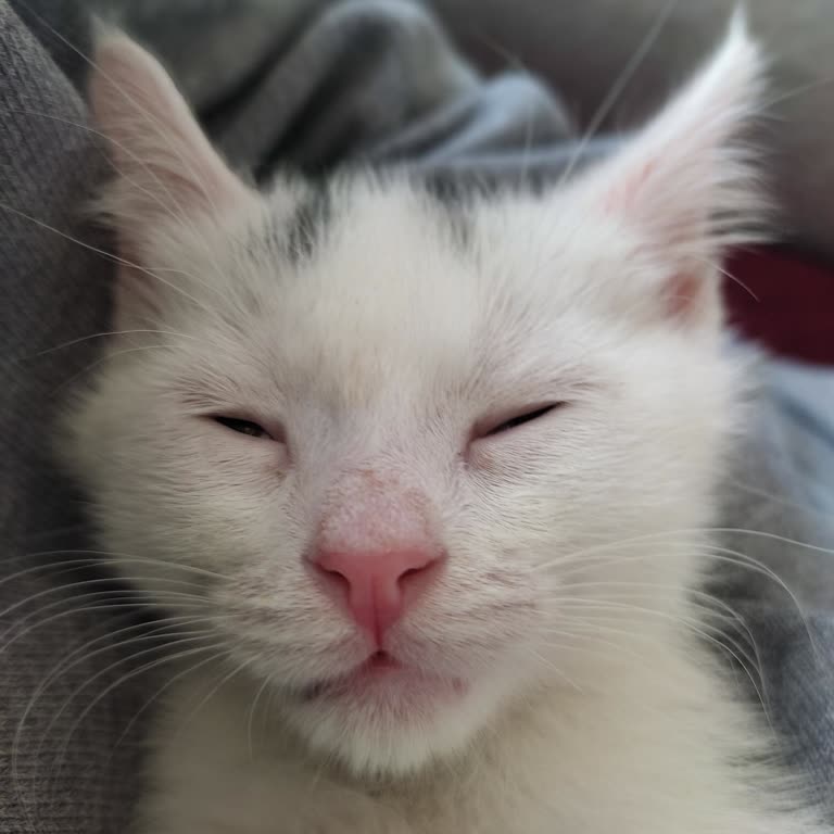 GollerCepte Eksik Oyun Paketleri Ve Maç Özetleri Talebi