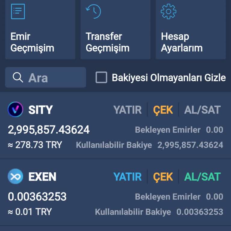 Sity Token Yatırımında Büyük Kayıp Ve Delist Sorunu