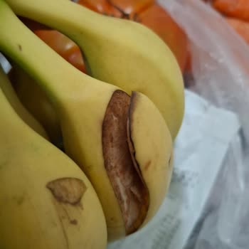 Hakmar Gıda Market Alışverişinde Kalitesiz Ürün Sorunu