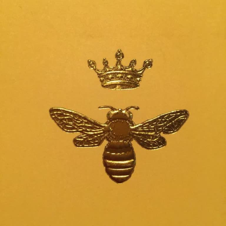 VakıfBank Lounge: Hijyen Ve İkram Sorunu