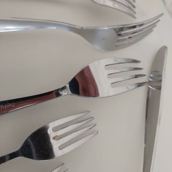 Bosch Dishwasher Requires Costly Detergent to Prevent Rust on My Utensils