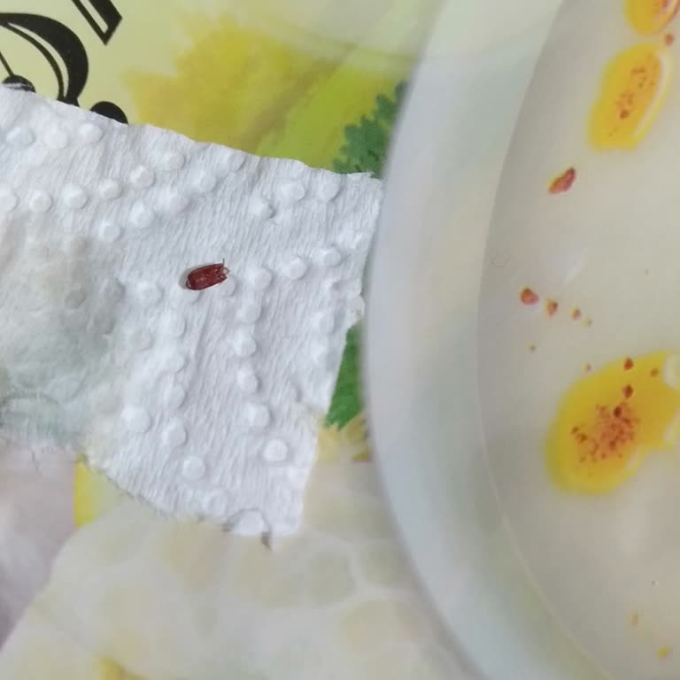 Hazır Çorbada Böcek Şoku