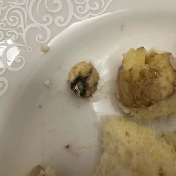 Bozuk Pasta Ve İlgisiz Müşteri Hizmeti