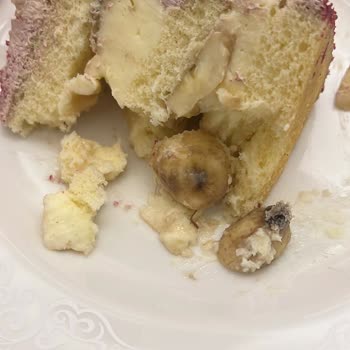 Bozuk Pasta Ve İlgisiz Müşteri Hizmeti