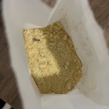 Şok Market'ten Alınan İrmik Kurtlu Çıktı