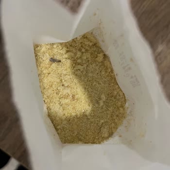 Şok Market'ten Alınan İrmik Kurtlu Çıktı