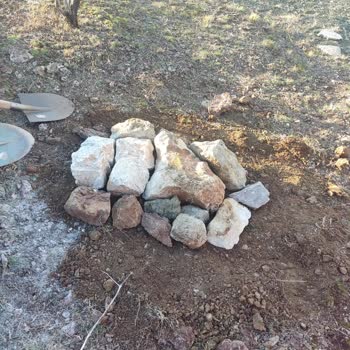 Veterinerde İhmal: Kedimizin Acı Dolu Kaybı