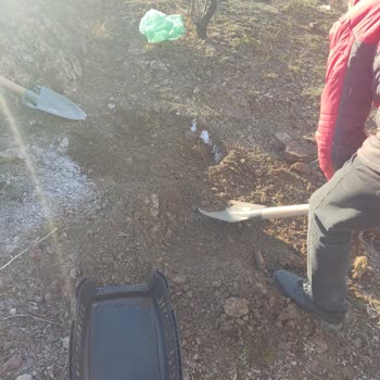 Veterinerde İhmal: Kedimizin Acı Dolu Kaybı