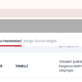 Kargo Adresime Teslim Edilmiyor: Yanlış Beyan Ve Bilinçli Gecikme