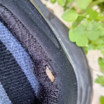 North Face Ayakkabıda Beklenmedik Açılma Ve Müşteri Hizmetleri Sorunu