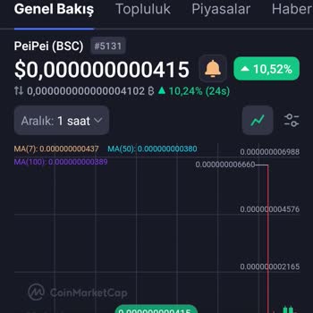 Coin Satışında Karşılaşılan Sorun Ve Değer Kaybı rugpull