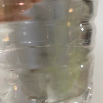 Erikli Su Şişesinde Şok Edici Yosun Problemi