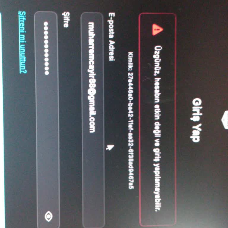 Epic Games Hesap Giriş Sorunu