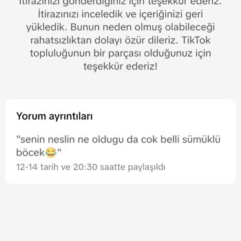 TikTok'ta Haksız Hesap Askıya Alma Sorunu